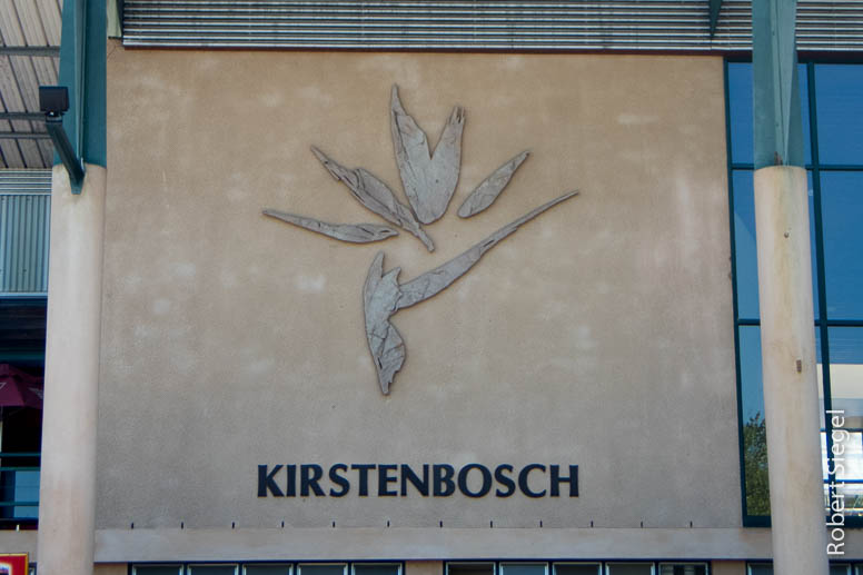 kirstenbosch